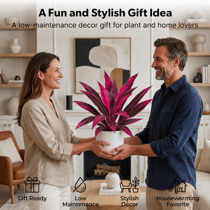 đ Last Day 60% OFF - Artificial Boston Fern & Dragon's Blood Tree Plants
